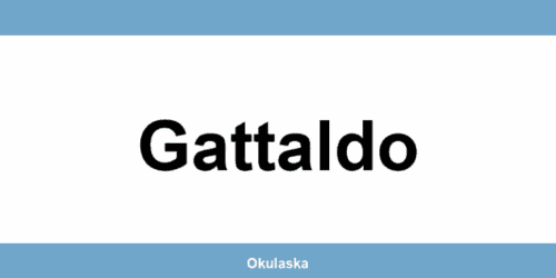Kontakt Ghetaldus optika Gattaldo